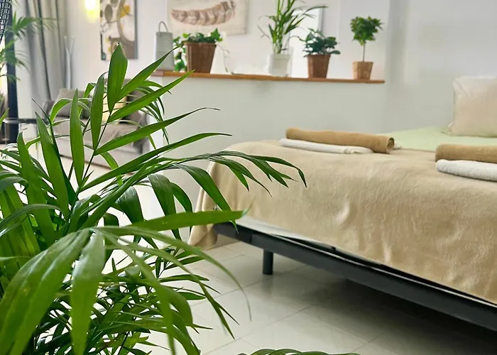 Апартаменты Palm Vista