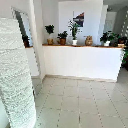 Апартаменты Palm Vista Адехе