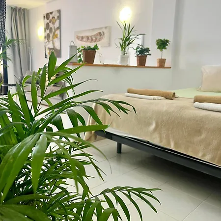 Apartamento Palm Vista