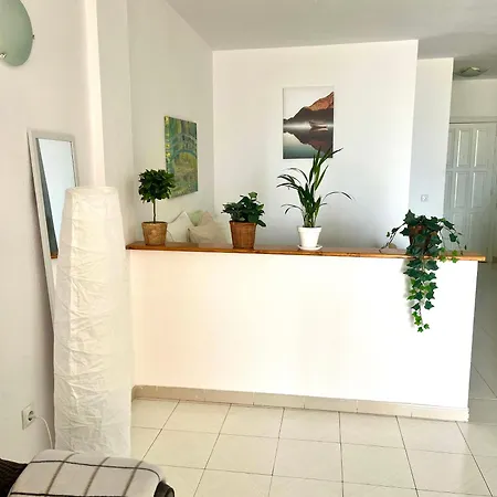 Palm Vista