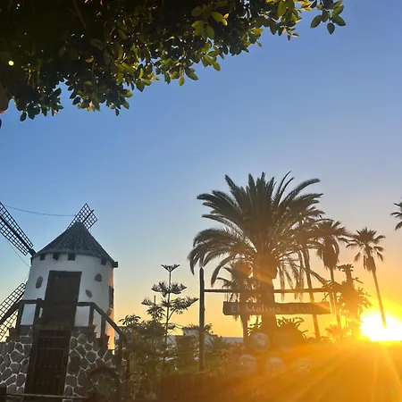 Appartement Palm Vista