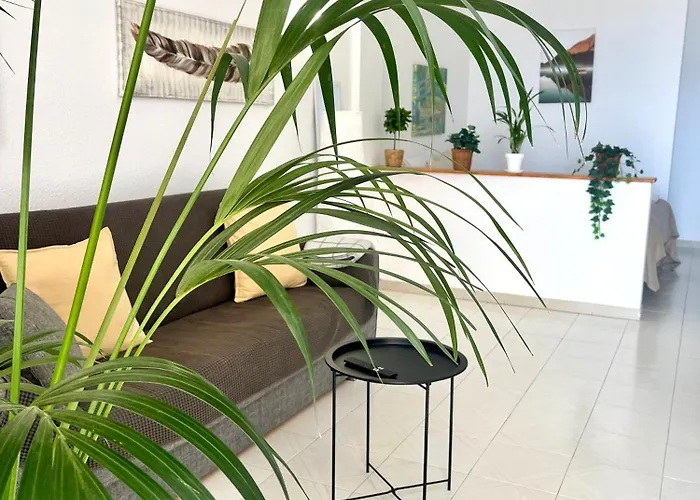 Palm Vista Apartment *