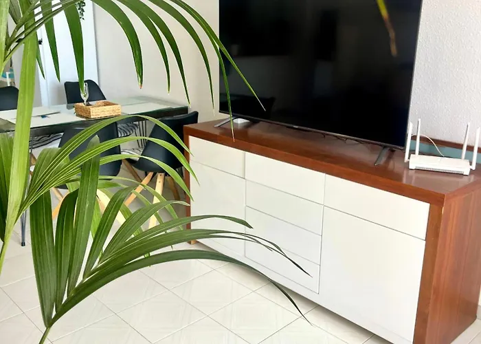 Palm Vista Apartment